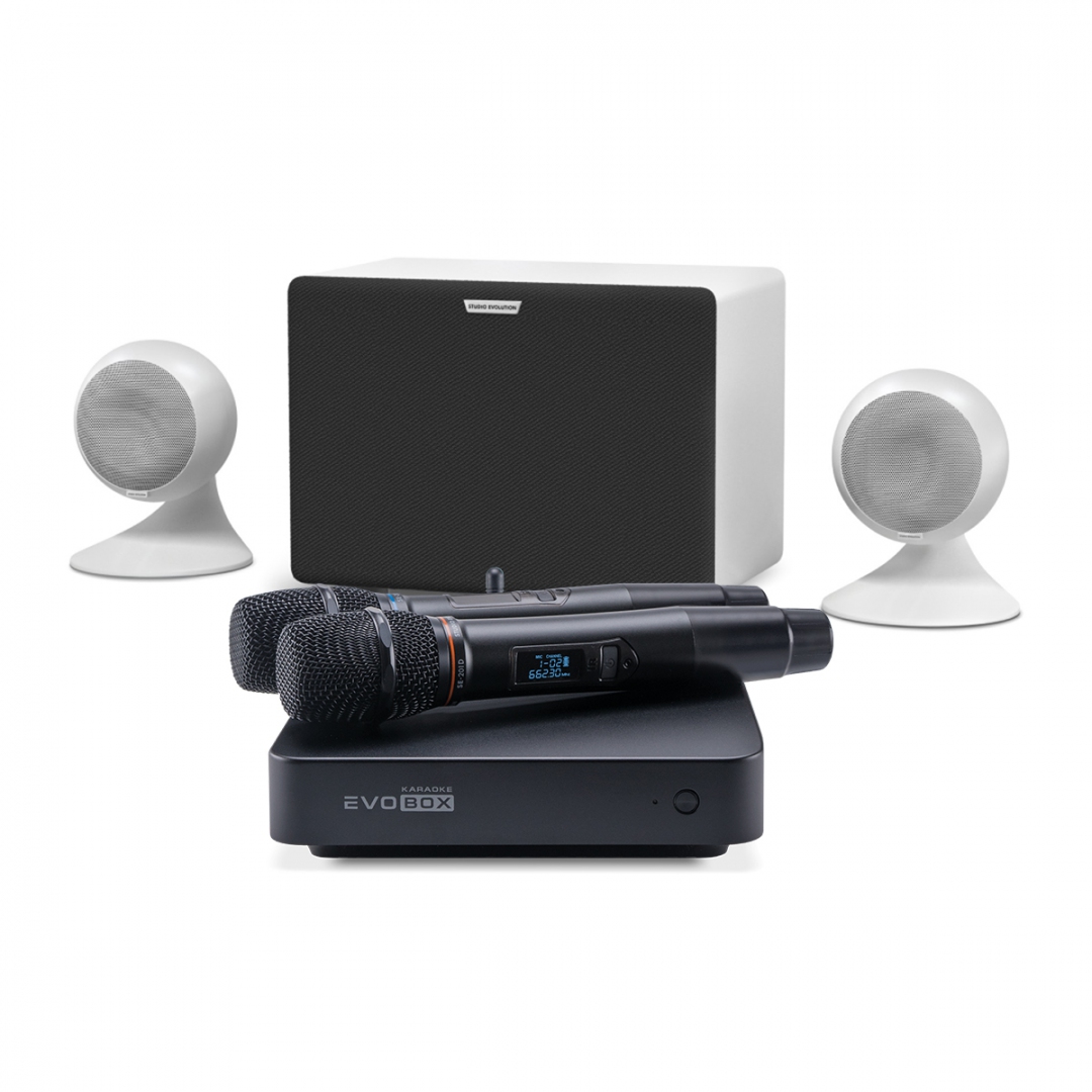 караоке-комплект EVOBOX Classic + EvoSound Sphere 2.1 в Талдоме