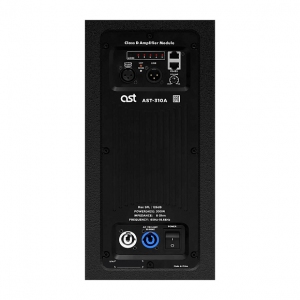 Активная акустическая система AST-310A в Талдоме