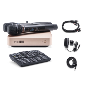 EVOBOX Classic караоке-система для дома в Талдоме