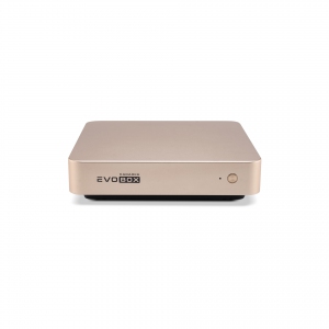 EVOBOX с микрофонами в Талдоме